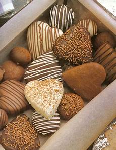 Chocolate Covered Nut