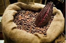 Chocolate Production